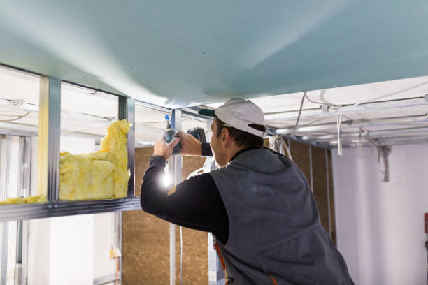 Best Insulation Maintenance and Repair in Orange Grove, TX