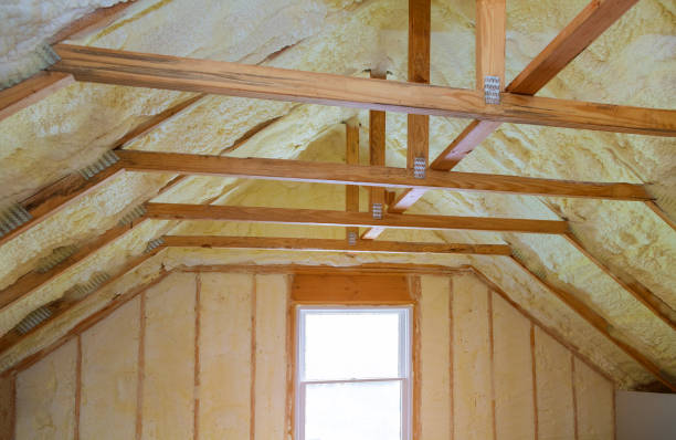 Best Eco-Friendly Insulation in Orange Grove, TX