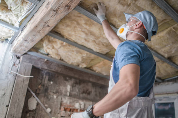 Best Residential Insulation in Orange Grove, TX