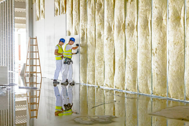 Professional Insulation Contractor in Orange Grove, TX
